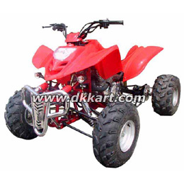 ZC-ATV-07 (300CC)