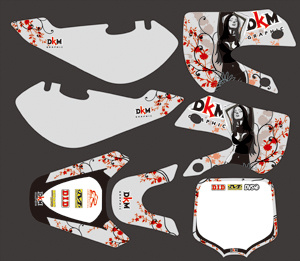 Graphic Kits for Kawasaki