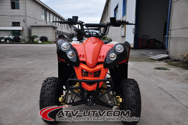 110cc Gas Quad Bike (AT1102)