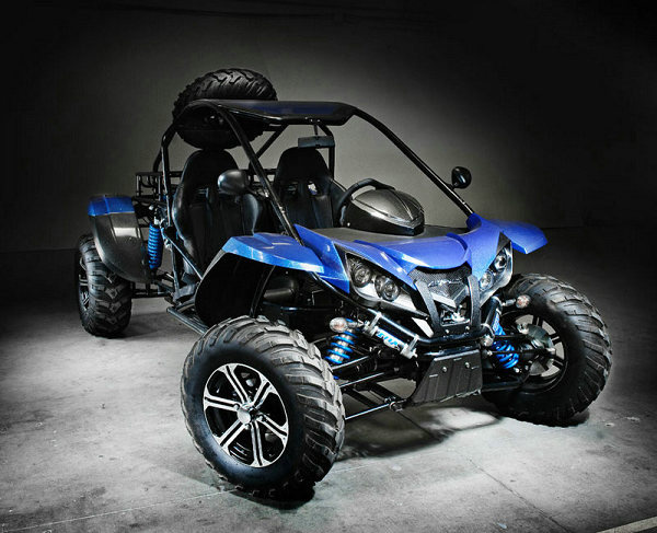 Renli 1100cc Go Kart Dune Buggy