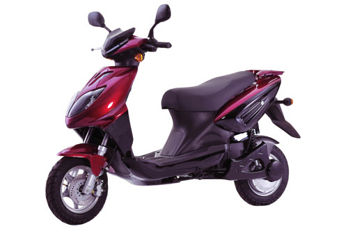 OEM 800W Electric Scooter (ZX-B09)