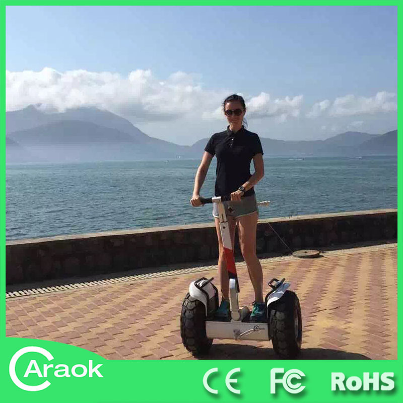2015 Promotions off Road Outdoor Chariot Mountain Scooter