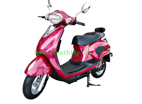 800w Electric Scooter(GT-EC1)