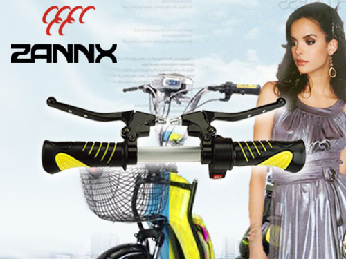 Electric Scooter Part (ZJY010)