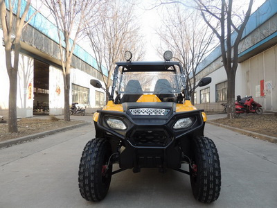 Shengwo 150 200 Chain Drive China Manufacture Youth Kids Disc Brake Quad UTV ATV