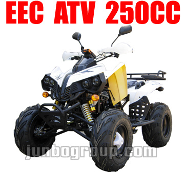 EEC ATV New 200cc / 250cc EEC Quad (ATV DR772)