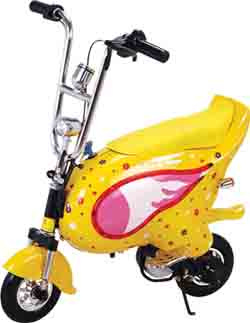 Electric Scooter-CD17
