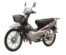 Electric Motorcycle (HR-028)