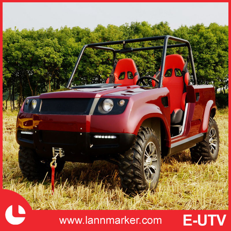 Electric UTV