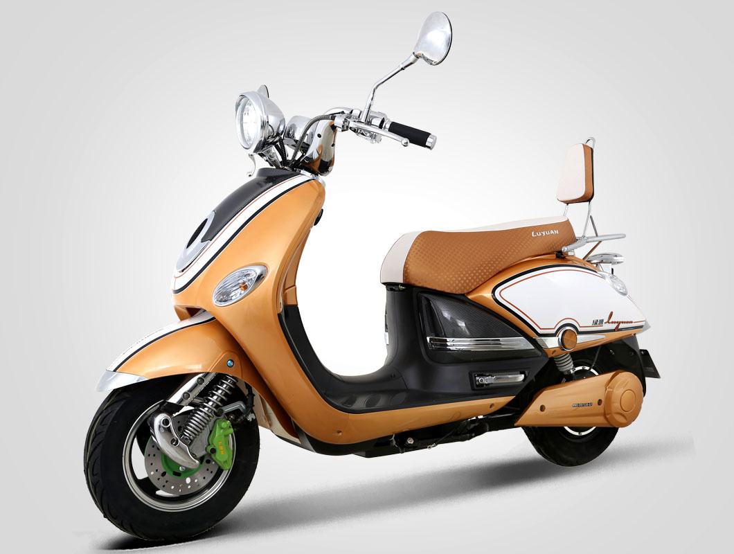 Retro luyuan Electric Scooter with 1500W Power (LEV016