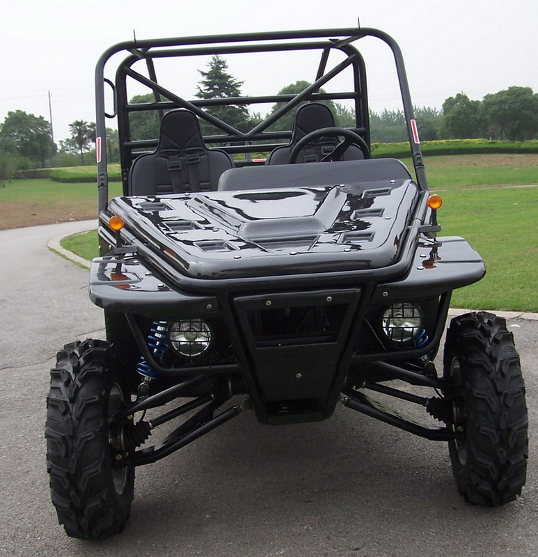 4X4 Go Kart, 1100CC Go Kart, Sand Beach Buggy