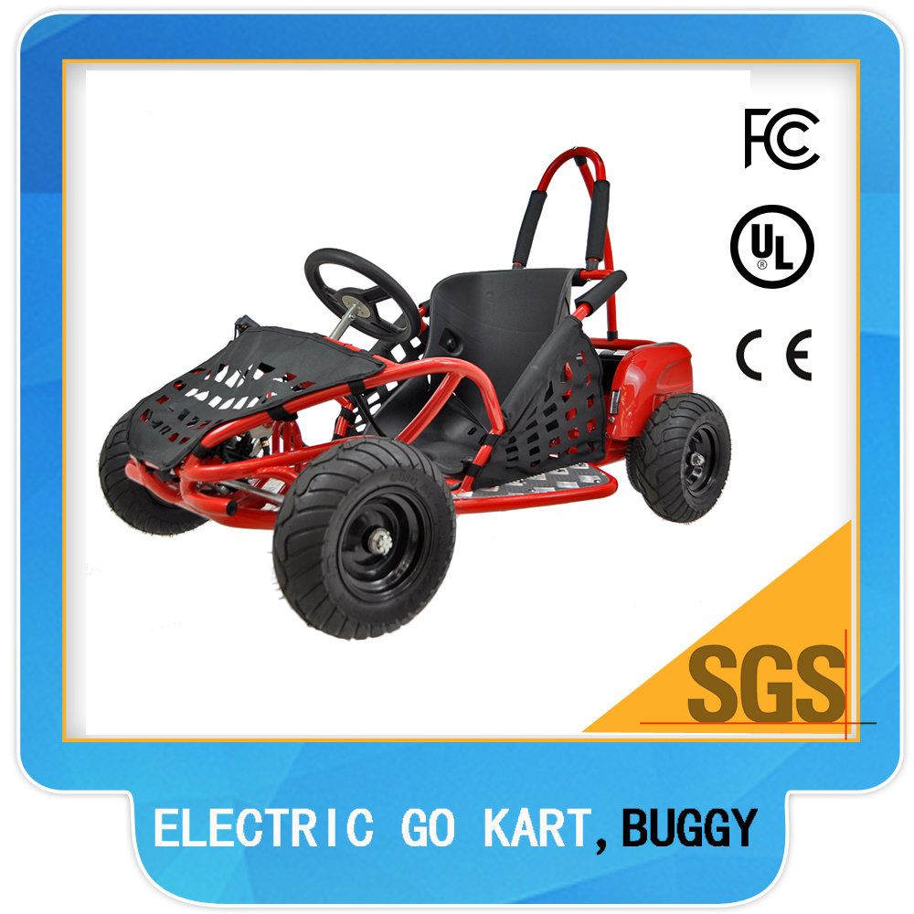 1000W Electric Motor for Go Kart