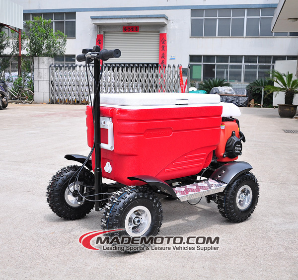 China New Model 43cc 4 Stroke Cooler Scooter