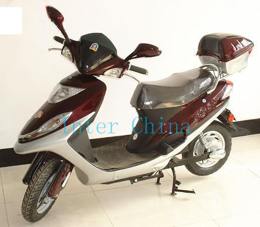 Electric Scooter (INE-20 600W)