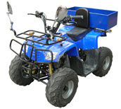 Crocodile ATV (SFD_A06_100CC)