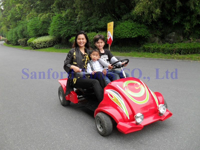 2 Seat Cheap Go Karts for Sale (V-go twin)