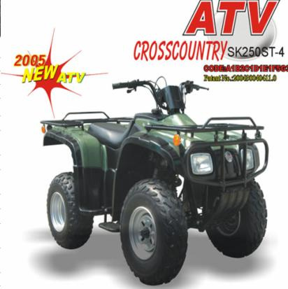 Motorcycle (SK250ST-4)