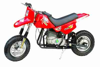 Dirt Bike (D-02)