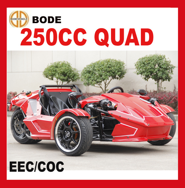 New 250cc ATV Quad Bike for Sale (MC-369)