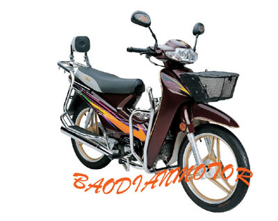 Motor Cub 110CC (BD110-5)