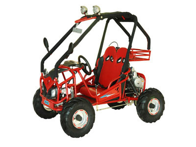 Youth Size 110cc Go Kart (GK01)