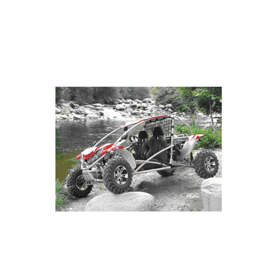 150cc Go Kart Good Engine (ZC-GK-10)