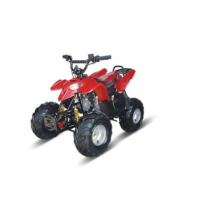 50cc/110cc ATV (ZC-TAV-02B)