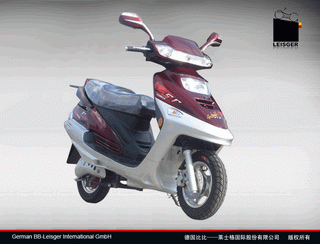 Electric Bicycle (TDM-03Z)