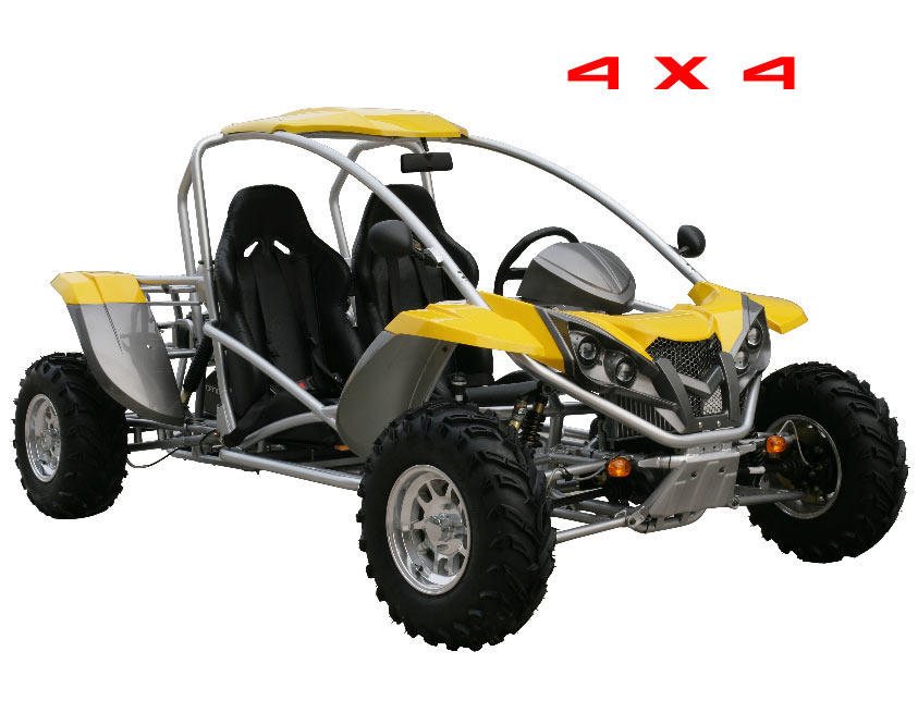 500CC 4x4 Go Kart (KWGK-500DZ)