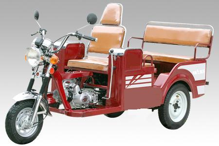 3-Wheel Motorcycle / Mobility Scooter (110ZK)