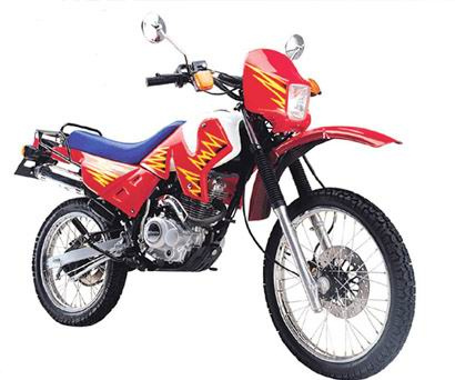 250CC Dirt Bike (DF250)