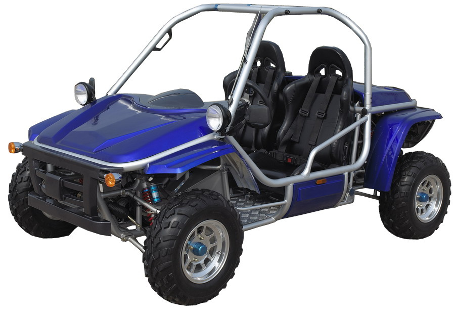 800CC EEC Go Kart (FPG800E-S)