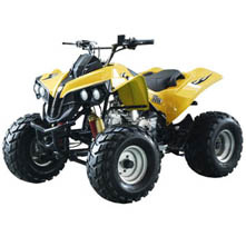 ATV (ZLATV-039)