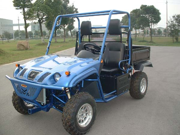 joyner buggy 650cc