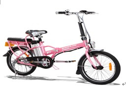 Electric Scooter (BL-LQ)