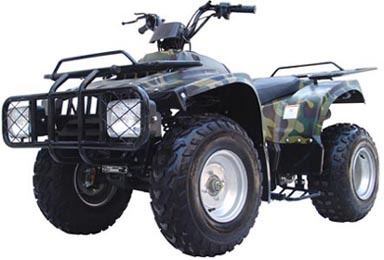 ATV 250CC (FST-250)