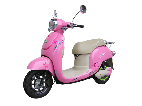 Electric Scooter (TDR48K116)