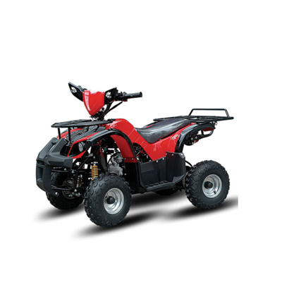 50cc/110cc ATV Mini Bike (ZC-ATV-04A)