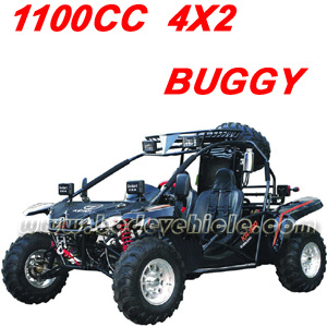 650CC. 800CC. 1100CC Go Kart. Buggy