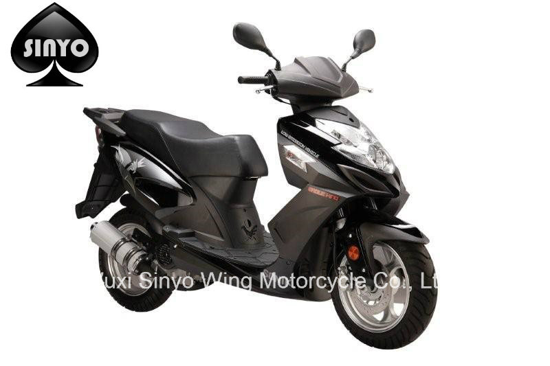 Hot Popular Two Big Wheel Scooter
