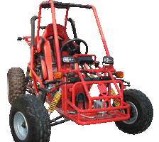 150cc Go Cart with EEC (ST250)