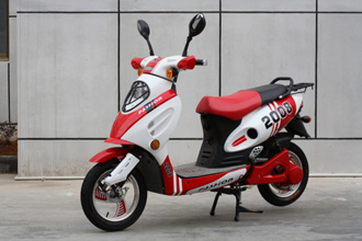 Electric Motorcycle (EM301)