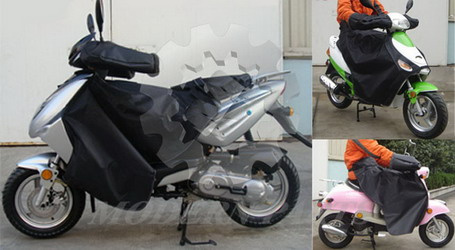 Scooter Cover in Winter