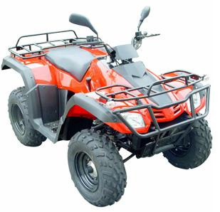 ATV (300CC)