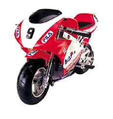 Pocket Bike (LYQH800H)