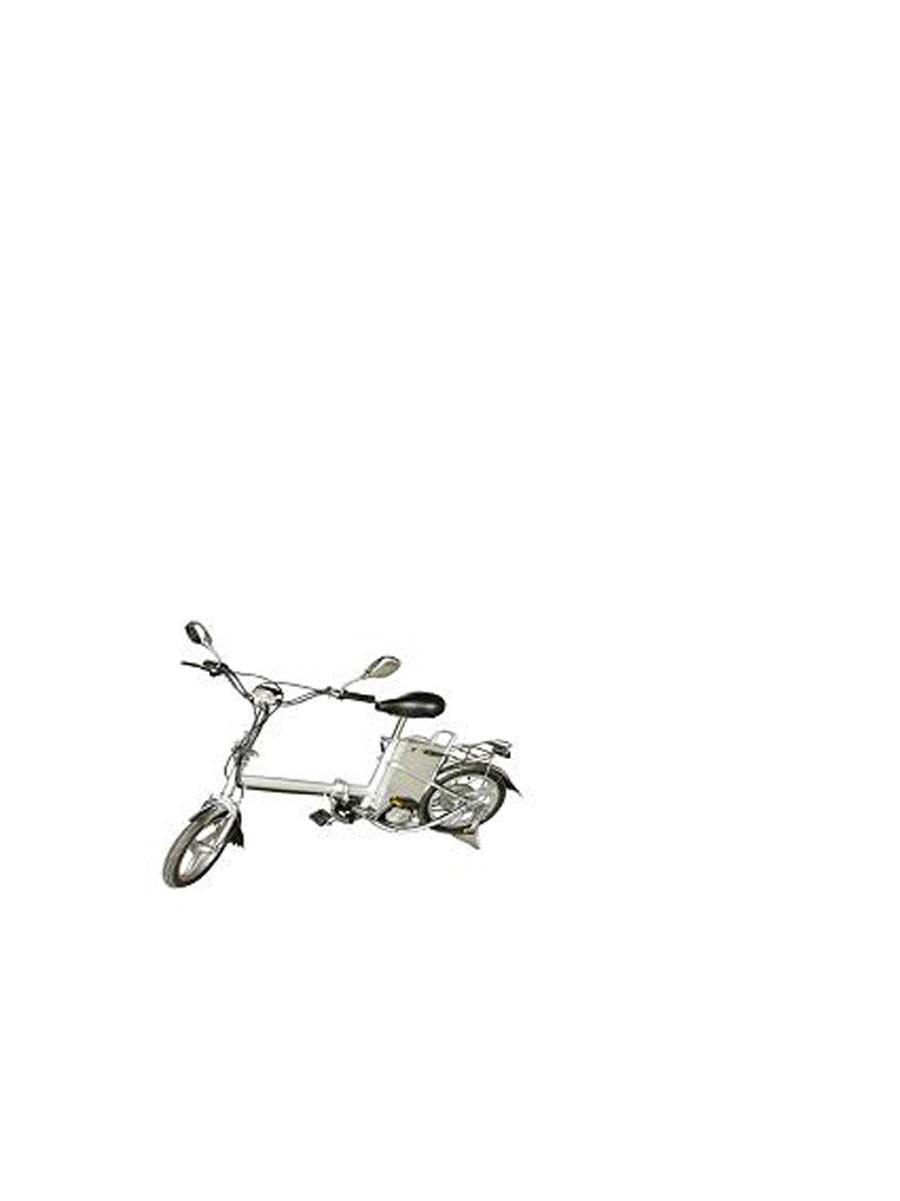 Electric Scooter (ES017)