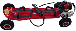 Gas Scooter (TY-100)