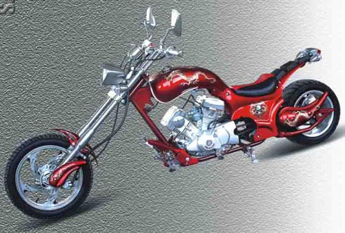 Mini Chopper (ZL-006F2)