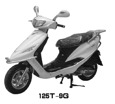 Motorcycle DFE125T-9G