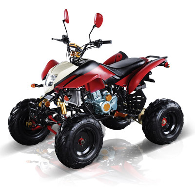 Zc-ATV-12c (250CC) , with Speed Meter, Mirrior